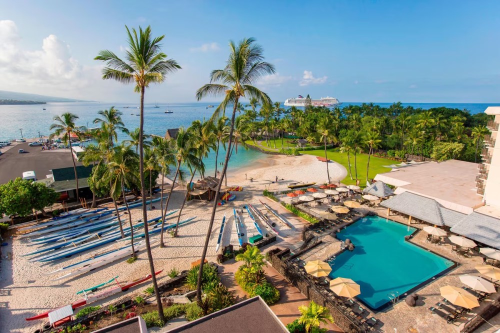 a row of palm trees on a beach
