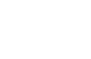 Flight of Aloha logo