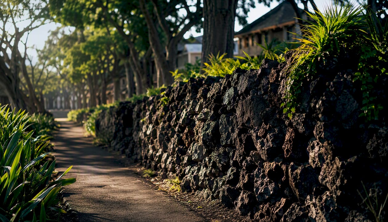 Historic Lahaina trail with morning light and greenery