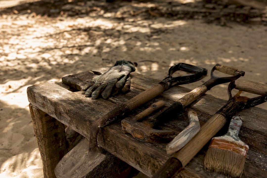 Volunteer tools laid out on table