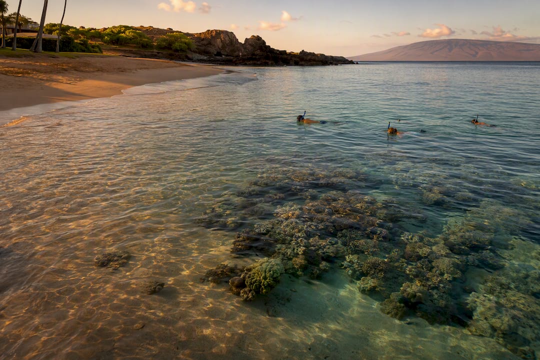 Snorkeling scene near Black Rock at Ka’anapali Beach