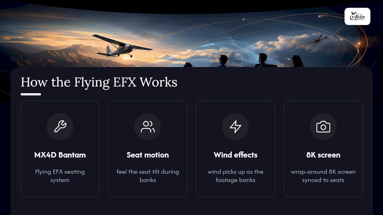 Diagram of flying theater immersive technology components