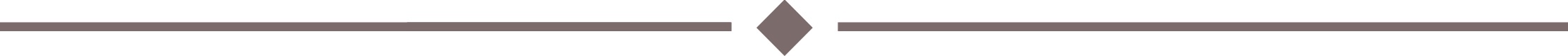 Horizontal line with a diamond shape in the center