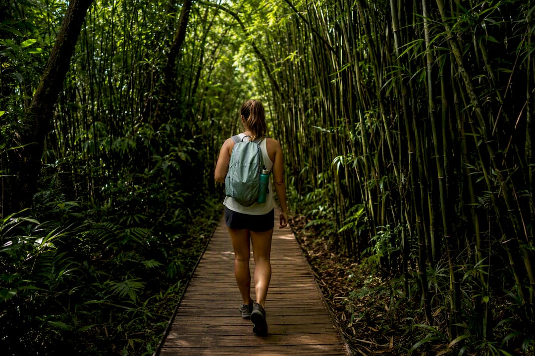 Visitor walking Pipiwai Trail through bamboo