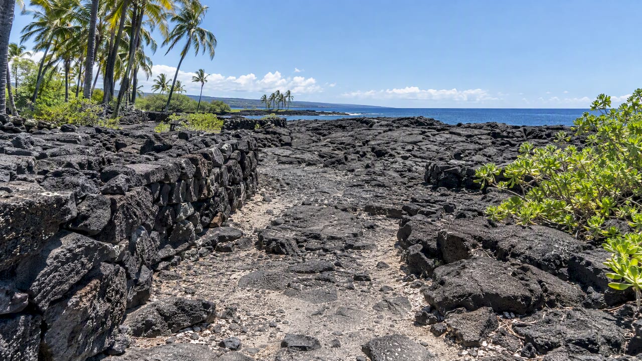 Exposed lava ground along a historic Kona walk