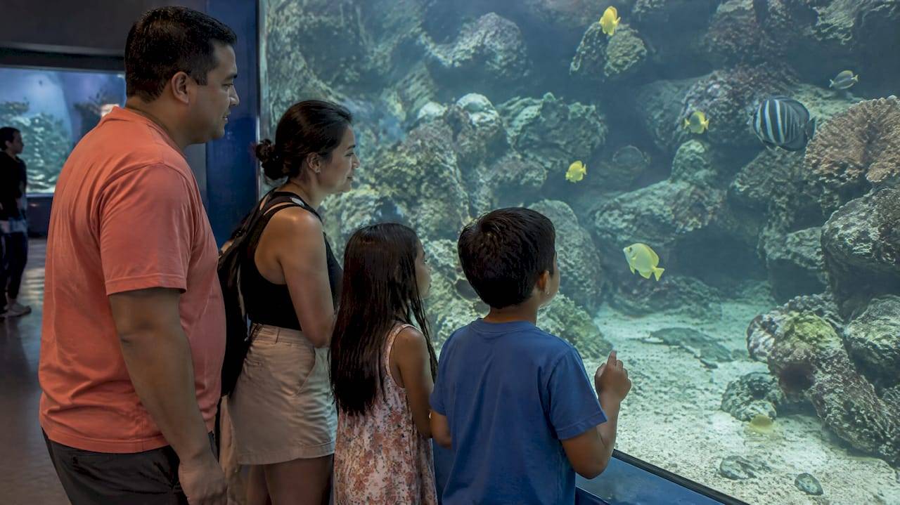 Family watching fish at Waikiki Aquarium